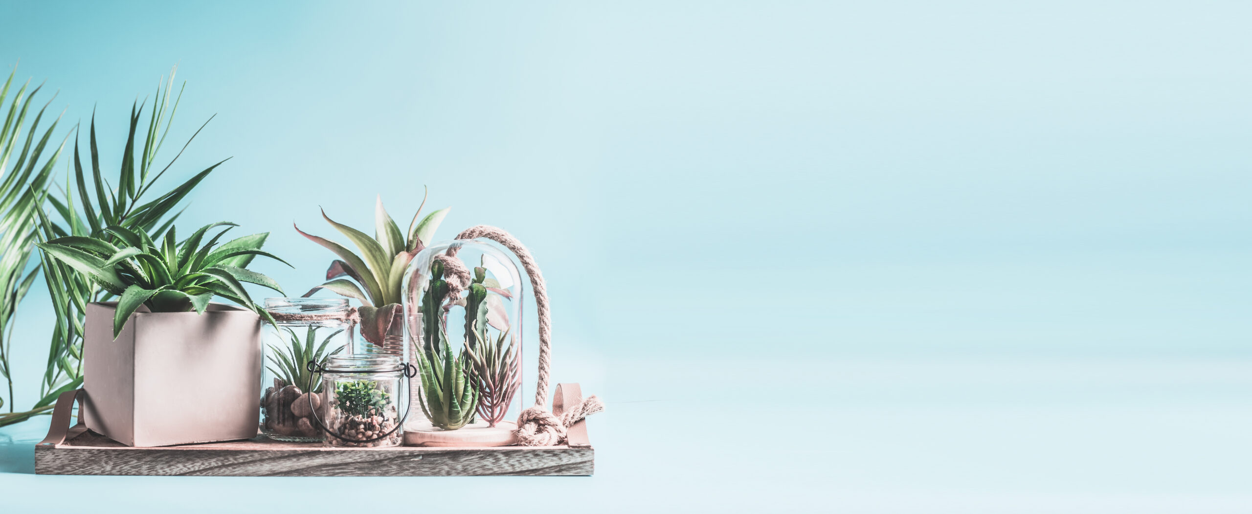 VICUSCHKA / Stock.adobe.com