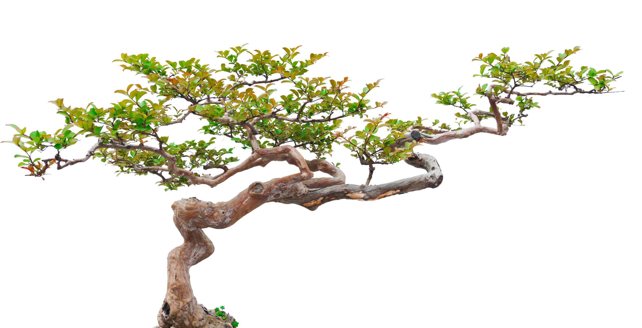 leeyiotung / stock.adobe.com