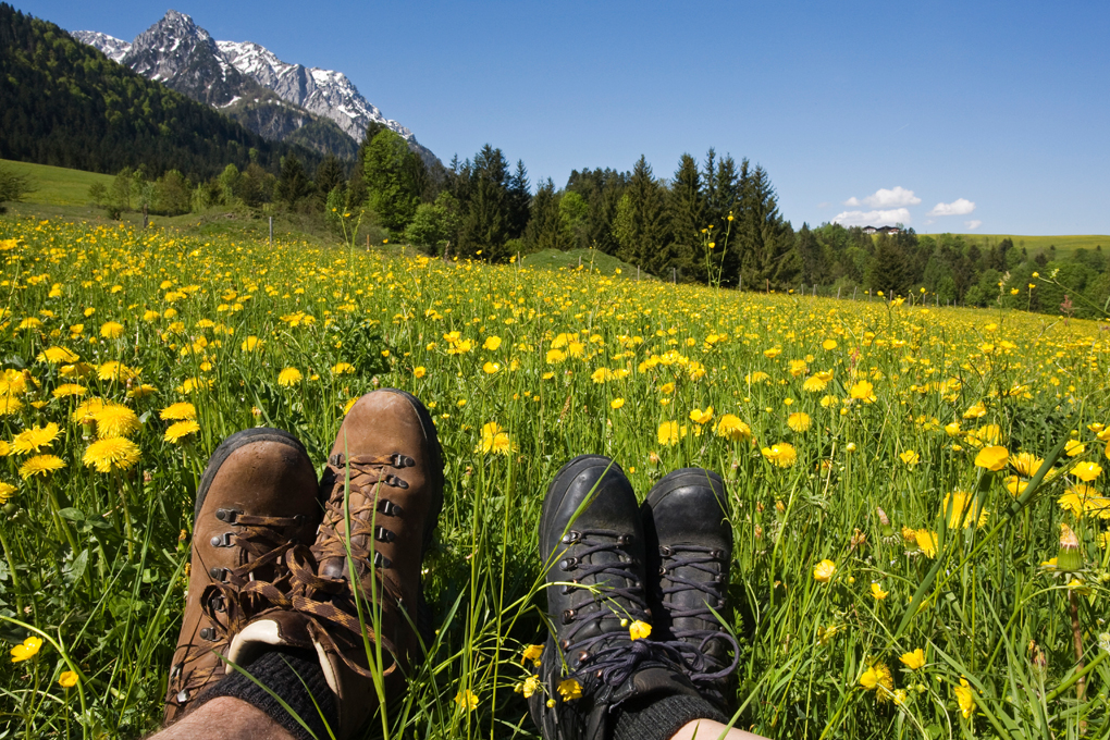 Grafik für -Tschüss, Frühjahrsmüdigkeit!