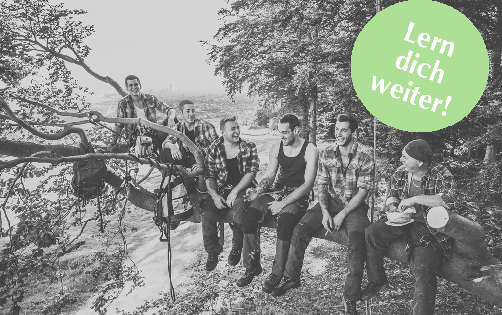 Grafik für -Lern‘ dich weiter: Baumpfleger werden