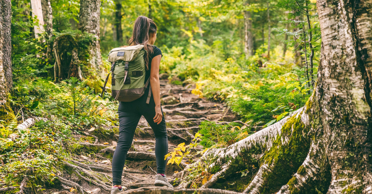 Grafik für -Der Wald als Gesundheitsraum und Klassenzimmer