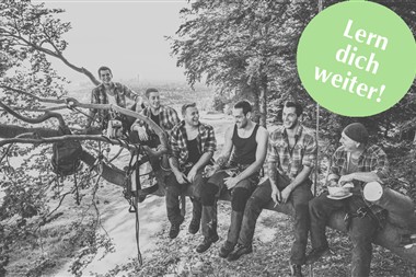 Zu Blogartikel 'Lern‘ dich weiter: Baumpfleger werden' wechseln